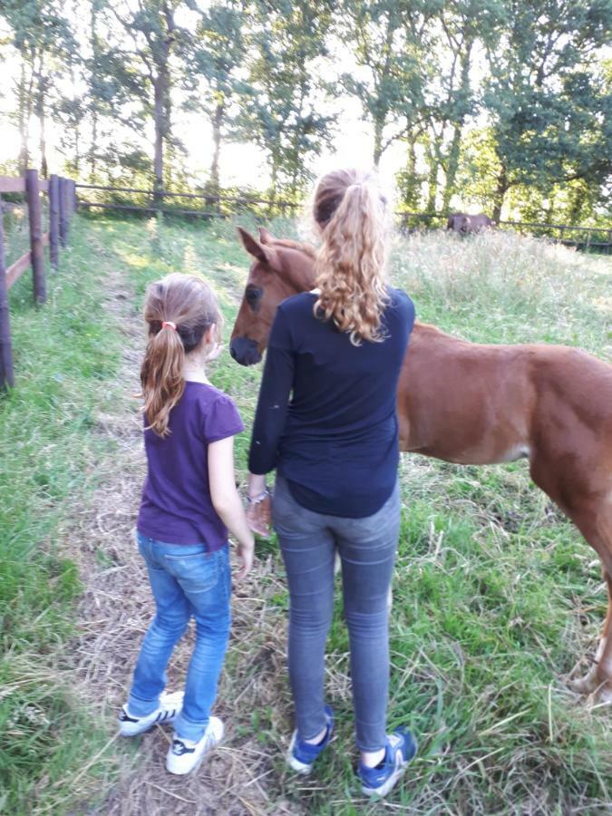 Gite Du Haras De Vales Moult ภายนอก รูปภาพ